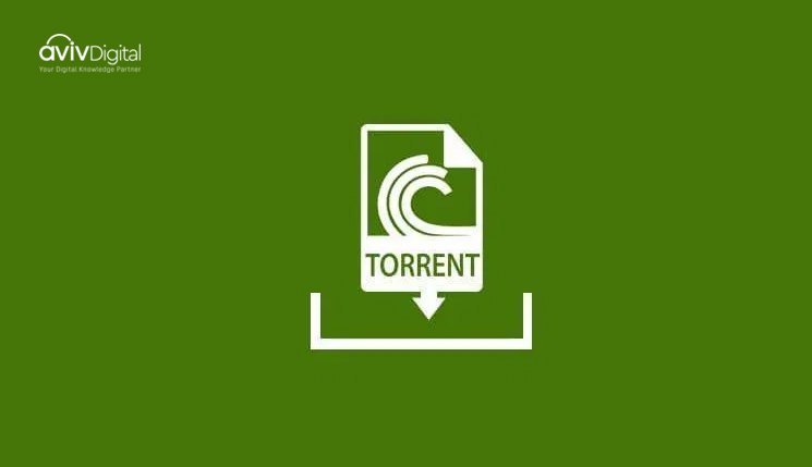 Torrent Websites