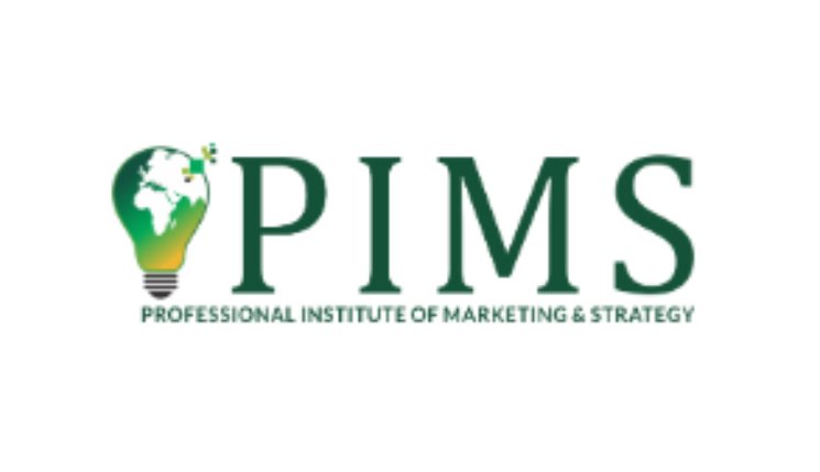 PIMS- digital marketing courses in Noida 