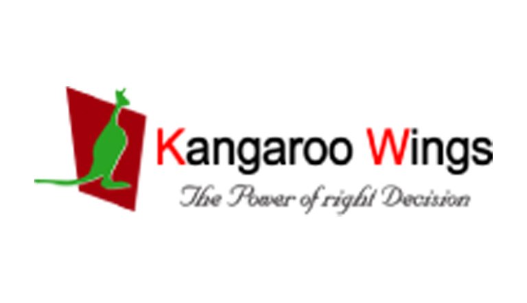 Kangaroo wings- digital marketing courses in Faridabad